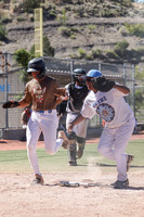 Jul 15_Shiwi vs Chihuahas