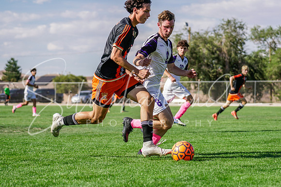 _DSC5987